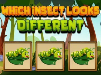 Гра: Яка комаха виглядає по-різному