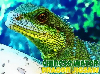 Гра: Головоломка Китайський водяний дракон
