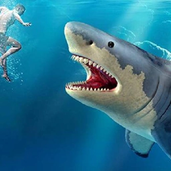 Гра: Полювання на акул