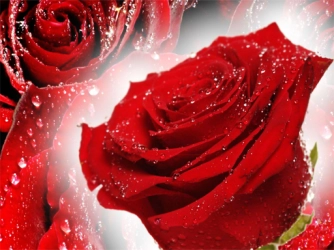 Гра: Головоломка з червоними трояндами