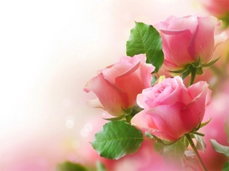 Гра: Рожеві троянди Пазл