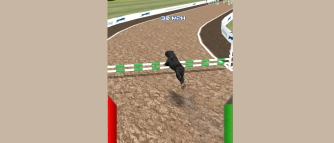 Гра: Симулятор собачих перегонів