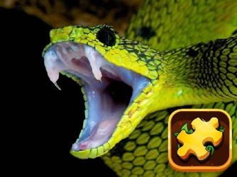Гра: Головоломка Змія
